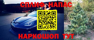 мяу мяу мука Бугуруслан