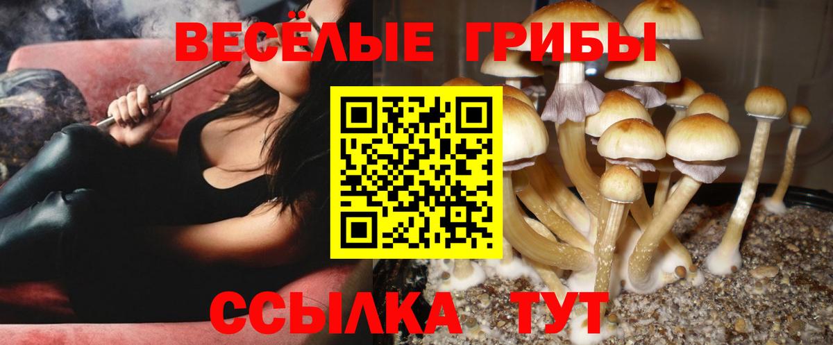Галлюциногенные грибы GOLDEN TEACHER Валуйки