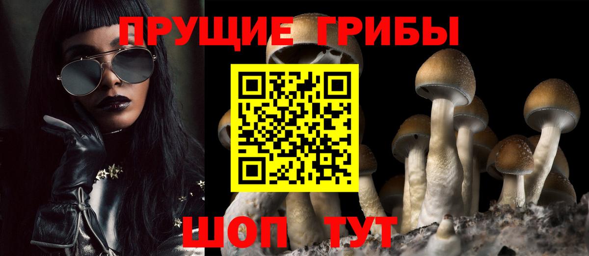 Галлюциногенные грибы мухоморы  Вход с VPN  Валуйки  Галлюциногенные грибы прущие грибы 
